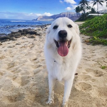 Maili Beach Park - Those views! - Parks Near Me - Waianae, Hawaii Maili Beach Park - Those views! - Parks Near Me - Waianae, Hawaii