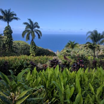 Rappel Maui - Exploring the Garden of Eden after the rappel - Tours Near Me - Haiku, Hawaii Rappel Maui - Exploring the Garden of Eden after the rappel - Tours Near Me - Haiku, Hawaii