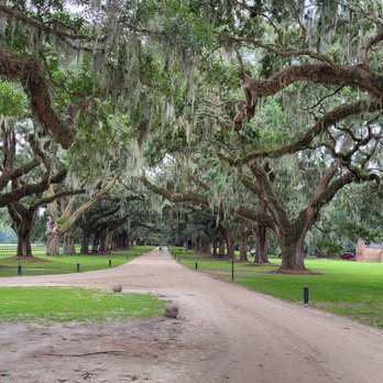 Boone Hall Plantation - Venues & Event Spaces Near Me - Mount Pleasant, South Carolina Boone Hall Plantation - Venues & Event Spaces Near Me - Mount Pleasant, South Carolina