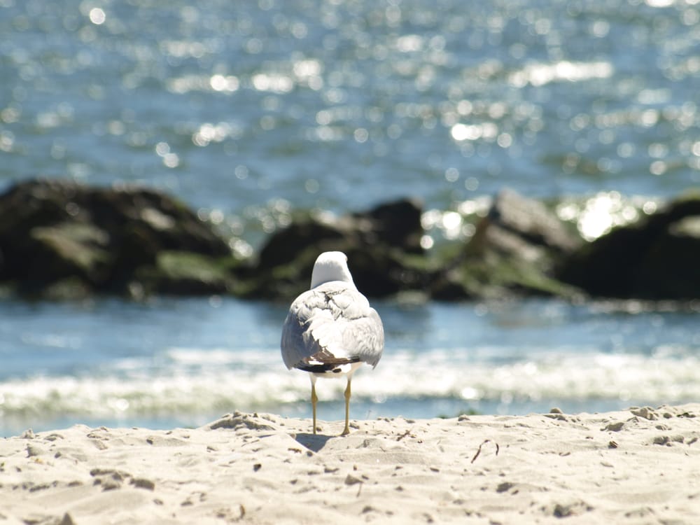 Strand von Long Beach, Long Island
