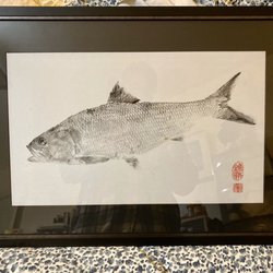 Gyotaku print by Dwight Hwang of an American Shad