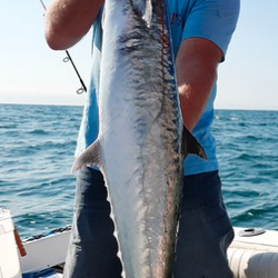 Florida Excursions