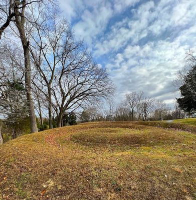 Serpent Mound State Memorial by null
