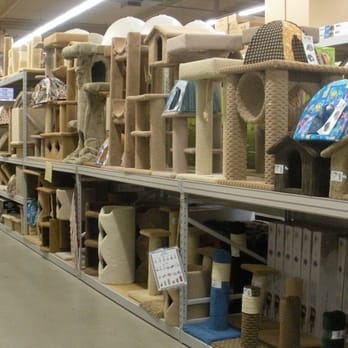 Pet Club - Kitty Play Gyms & scratching posts - Pet Stores Near Me - Santa Rosa, California