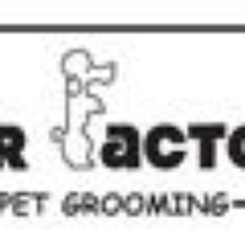 Fur Factory - Pet Groomers Near Me - Reston, Virginia