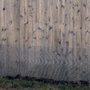 Photo of Clay Roofe Snake Removal
