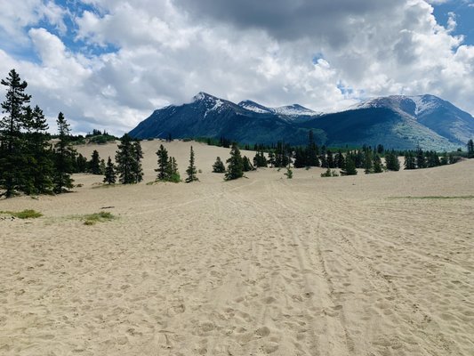 Carcross Desert by null