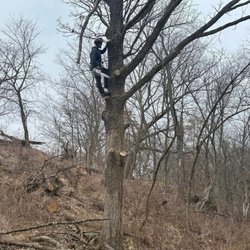Driftless Outdoor Services