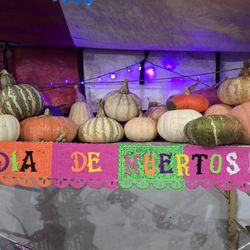Acostas Pumpkin Patch and Christmas Trees - Acosta's Pumpkin Patch Oct 2025