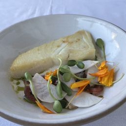 Halibut Halibut