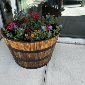 First Watch - A decorative planter by the front door - Breakfast & Brunch Near Me - Hialeah, Florida