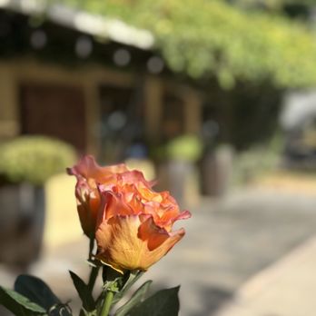 Janet's Flowers - Floral Designers Near Me - Modesto, California