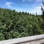 Photo of Naturerlebnispark Panarbora