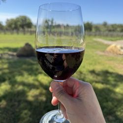 J Dusi Wines - Glass of their Zin