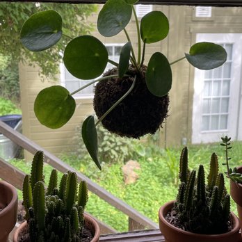 Of Soil and Moss - Nurseries & Gardening Near Me - Oakland, California Of Soil and Moss - Nurseries & Gardening Near Me - Oakland, California