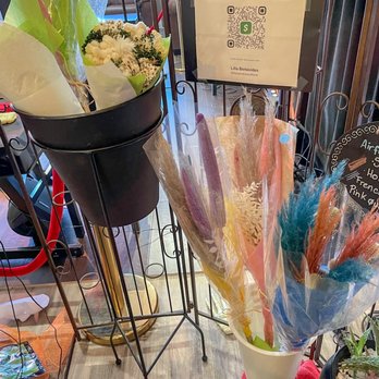 Filomena's Bean Coffee - Dried flowers for sale - Coffee & Tea Near Me - Davie, Florida Filomena's Bean Coffee - Dried flowers for sale - Coffee & Tea Near Me - Davie, Florida