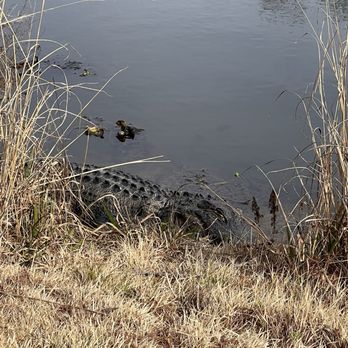 BRICK POND PARK - Updated January 2026 - 52 Photos & 15 Reviews - 16-98