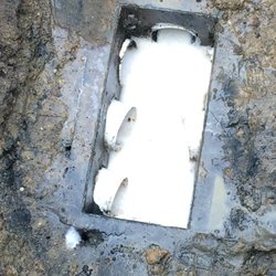 Jersey Septic Specialist - Bacteria treatment