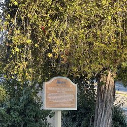 Kissing Point Scenic Viewpoint - One of several historic markers along the route
