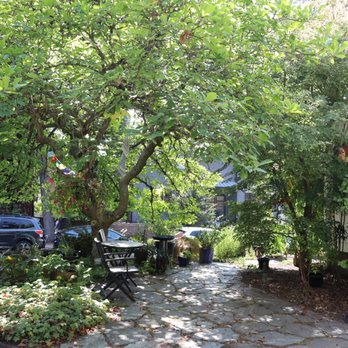 Seattle Tree Care - just one example for you pre pruning - Tree Services Near Me - Seattle, Washington Seattle Tree Care - just one example for you pre pruning - Tree Services Near Me - Seattle, Washington
