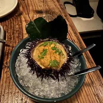 Rich Table - Uni panna cotta. Absolutely divine. - New American Near Me - San Francisco, California Rich Table - Uni panna cotta. Absolutely divine. - New American Near Me - San Francisco, California