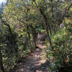 Gateway Mesa Open Space
