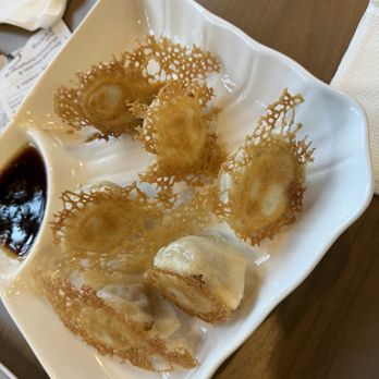 Shanghai Dumpling House - Chinese Near Me - Tampa, Florida Shanghai Dumpling House - Chinese Near Me - Tampa, Florida