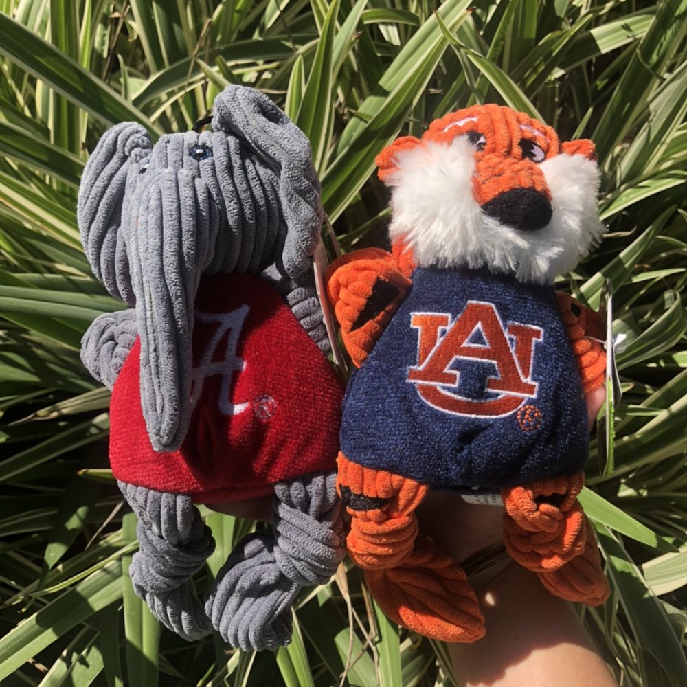 BUDDYS PET STOP Updated June 2024 Request Information 13 Photos