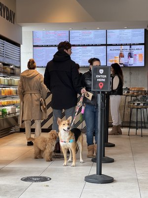 Impact Kitchen by null