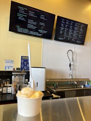 Marco Polo Italian Ice Cream Inc. by null