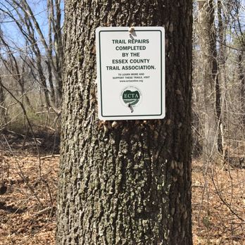 Bradley Palmer State Park - Saw a few guys clearing a trail of debris, great work guys! - Parks Near Me - Topsfield, Massachusetts