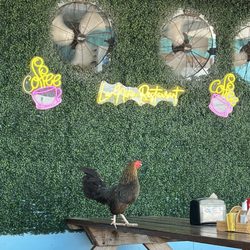 La Nina Restaurant - Outdoor seating