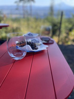 South Hill Winery by null