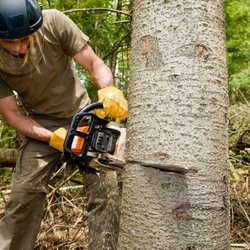 Vega's Tree Service