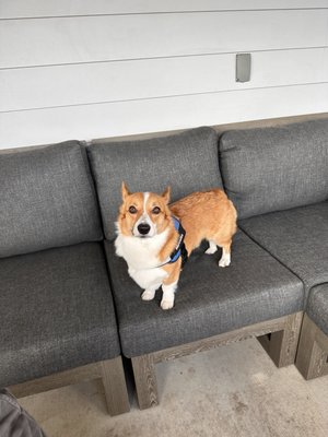 MUTTS Canine Cantina® - Austin by null