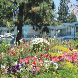 Flowers around the Property