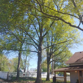 JC Garay Tree & Lawn Service - Tree Services Near Me - Independence, Missouri JC Garay Tree & Lawn Service - Tree Services Near Me - Independence, Missouri