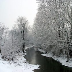 Miami Whitewater Forest - DRY FORK CREEK
