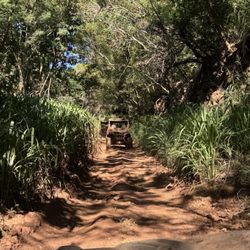 Maui Off Road Adventures - Part of dry pathway