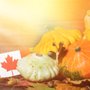 Photo of Canadian Thanksgiving