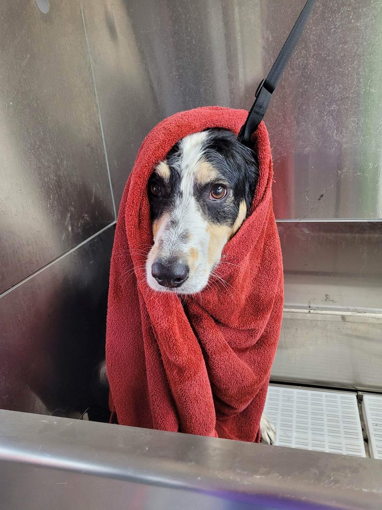 FILTHY Updated September 2024 93 Photos Albuquerque, New