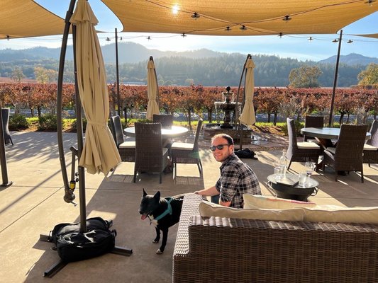 Benessere Vineyards by null