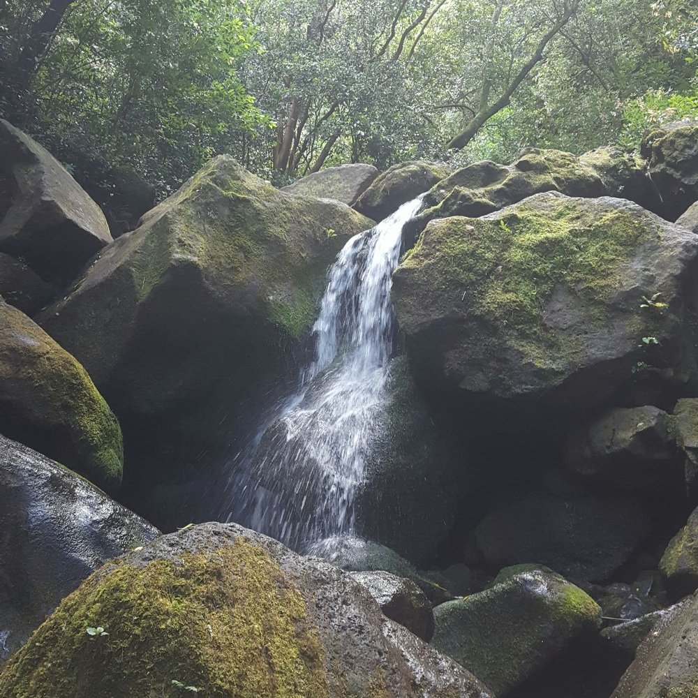 Lulumahu Falls - Hiking Near Me - Honolulu, Hawaii