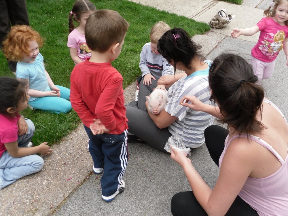 Maple Bear Academy - childcare center in Los Alamitos, CA