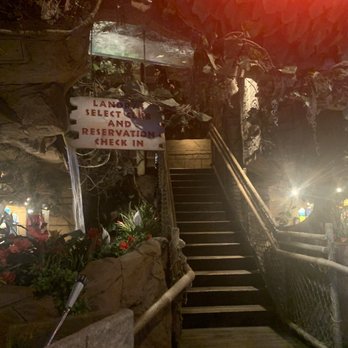 Rainforest Cafe - Stairs - American Near Me - San Antonio, Texas