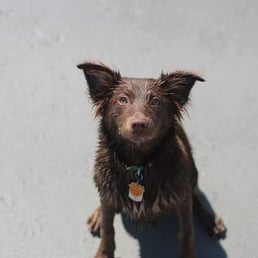 Walter is moist Walter is moist