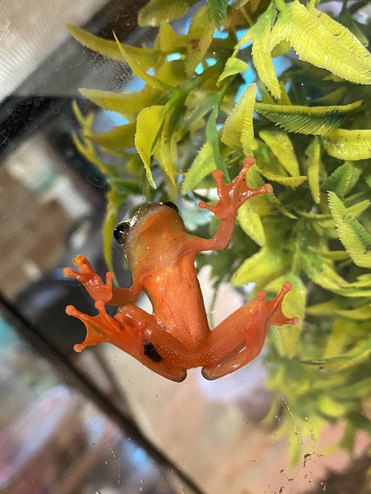 FINS & CRITTERS Updated September 2024 13 Photos 1008 Gantt St