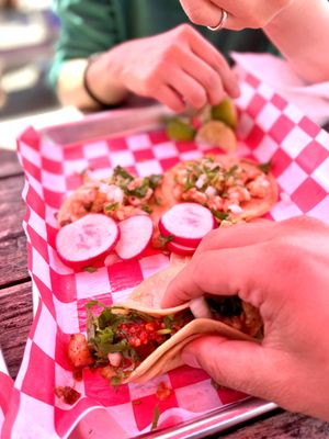 Tacos Tecalitlan by null