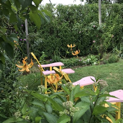 The Madoo Conservancy by null