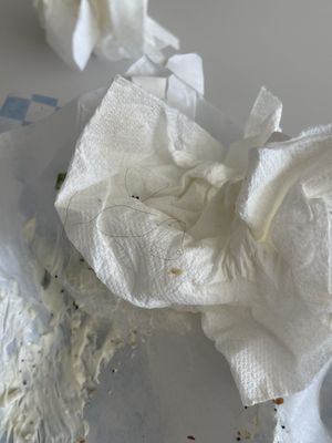 Pop's Bagels by null